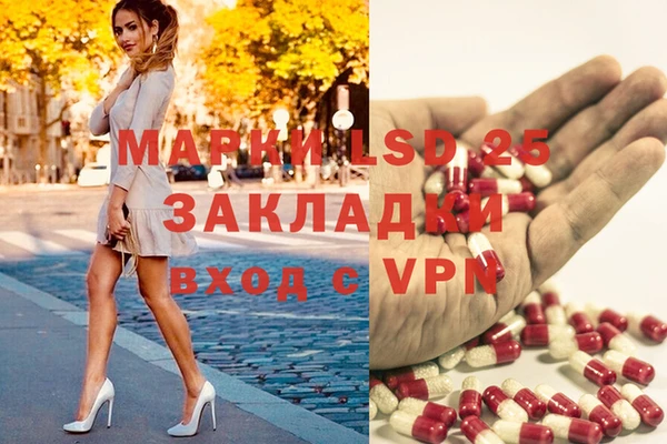 PSILOCYBIN Абаза