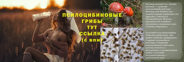 PSILOCYBIN Абаза
